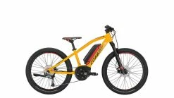 Conway EMS 240 Jugend, 24 (2020)