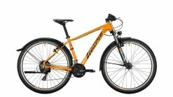 Conway MC 329 Hardtail, 29 (2021)