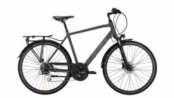 Victoria Trekking 2.9 Diamant (2021)